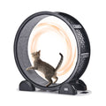 Black cat exercise wheel with grey carpet running surface and raised base