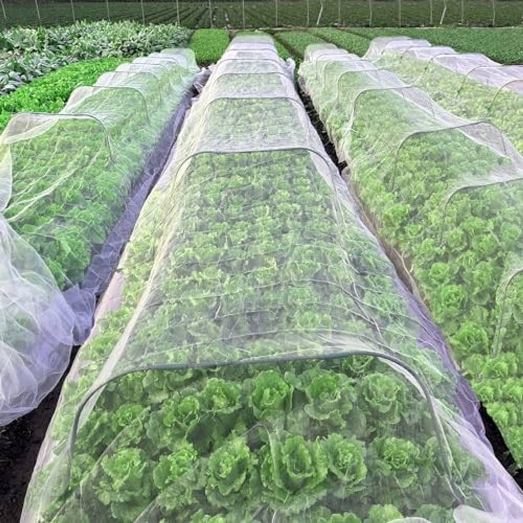 Fine mesh netting stretched over long garden rows with leafy greens underneath