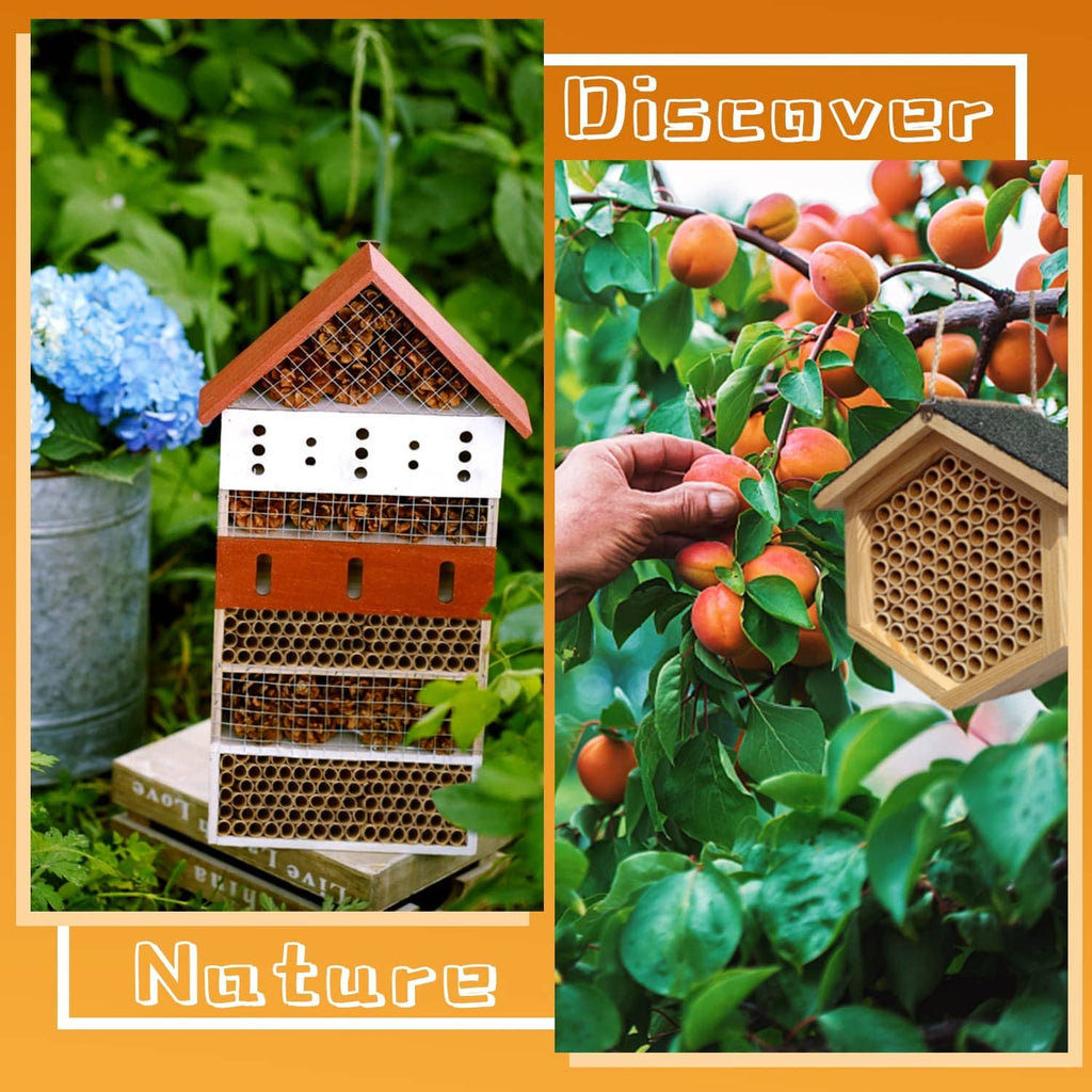 Decorative mason bee house with front openings and embedded cardboard nesting tubes