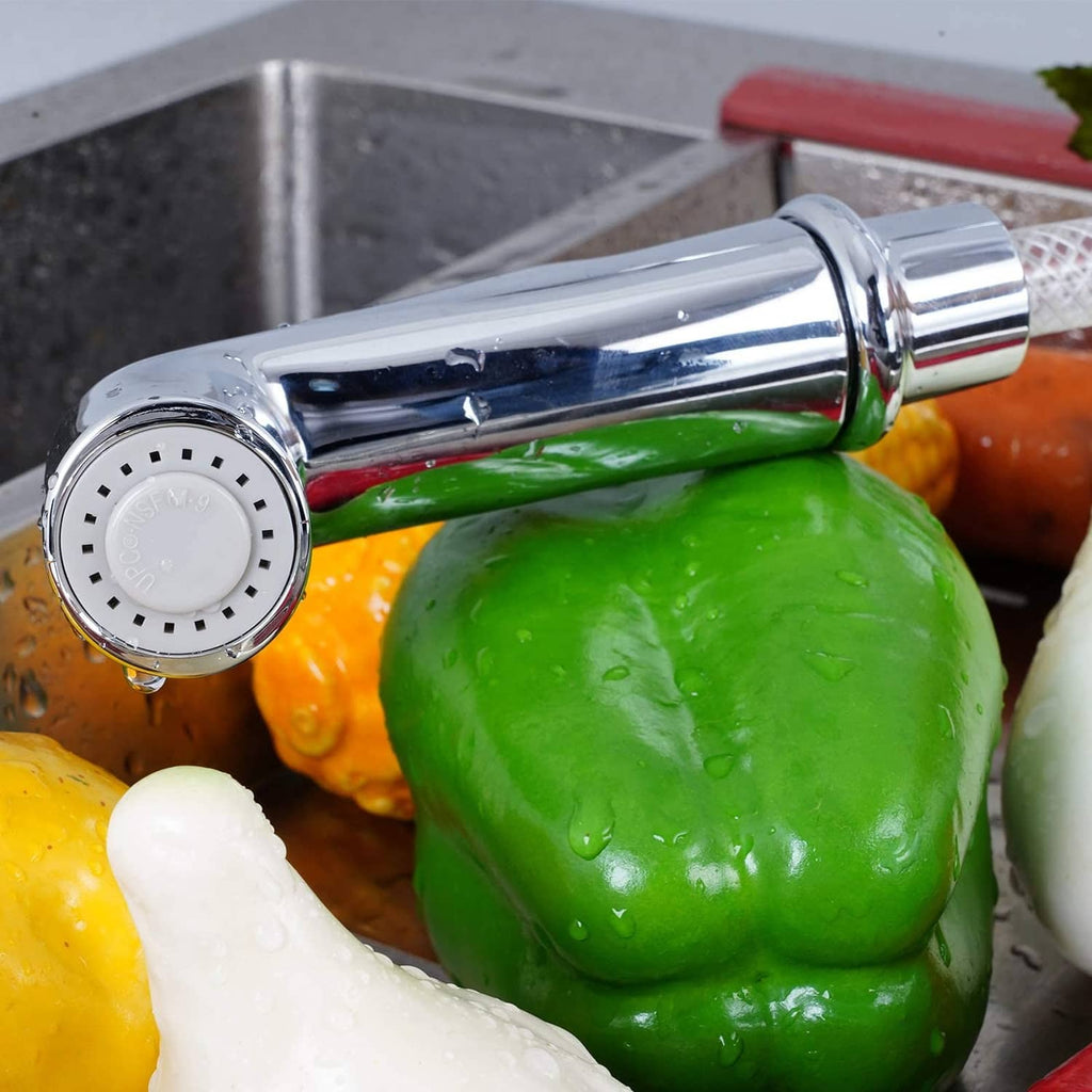 Chrome sink sprayer head rinsing vegetables with water droplets