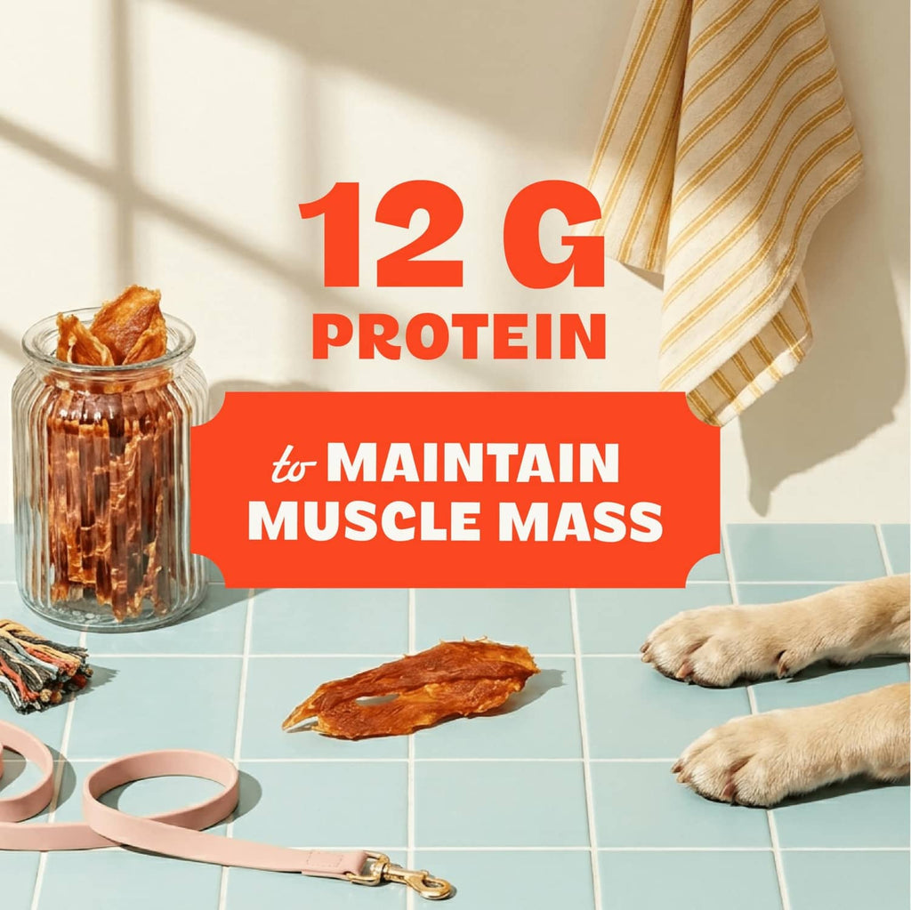Chicken jerky dog treats with 12G protein and muscle mass graphic