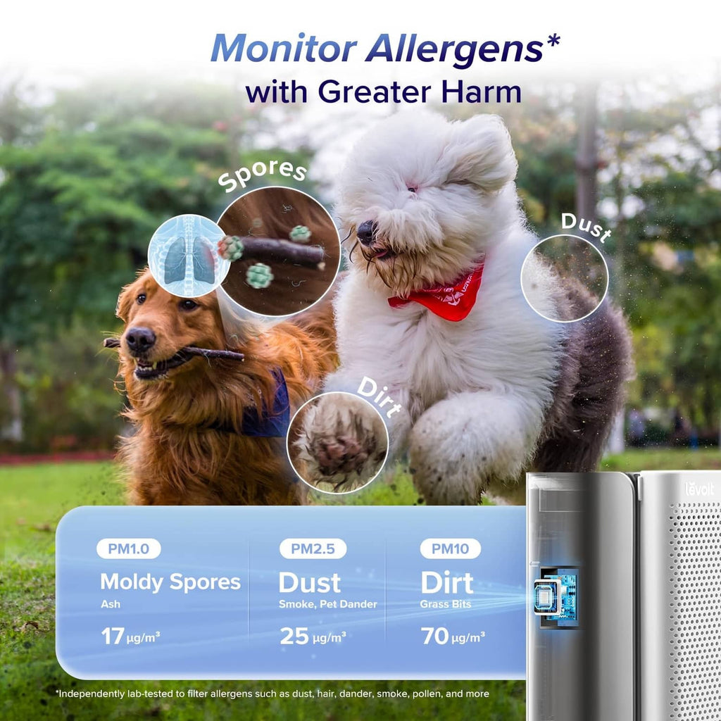 Silvery grey air purifier with perforated front panel and black top grille