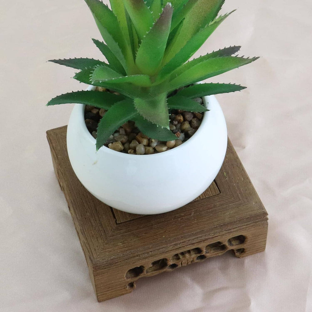 Wooden display stand base holding a white pot with small green succulent