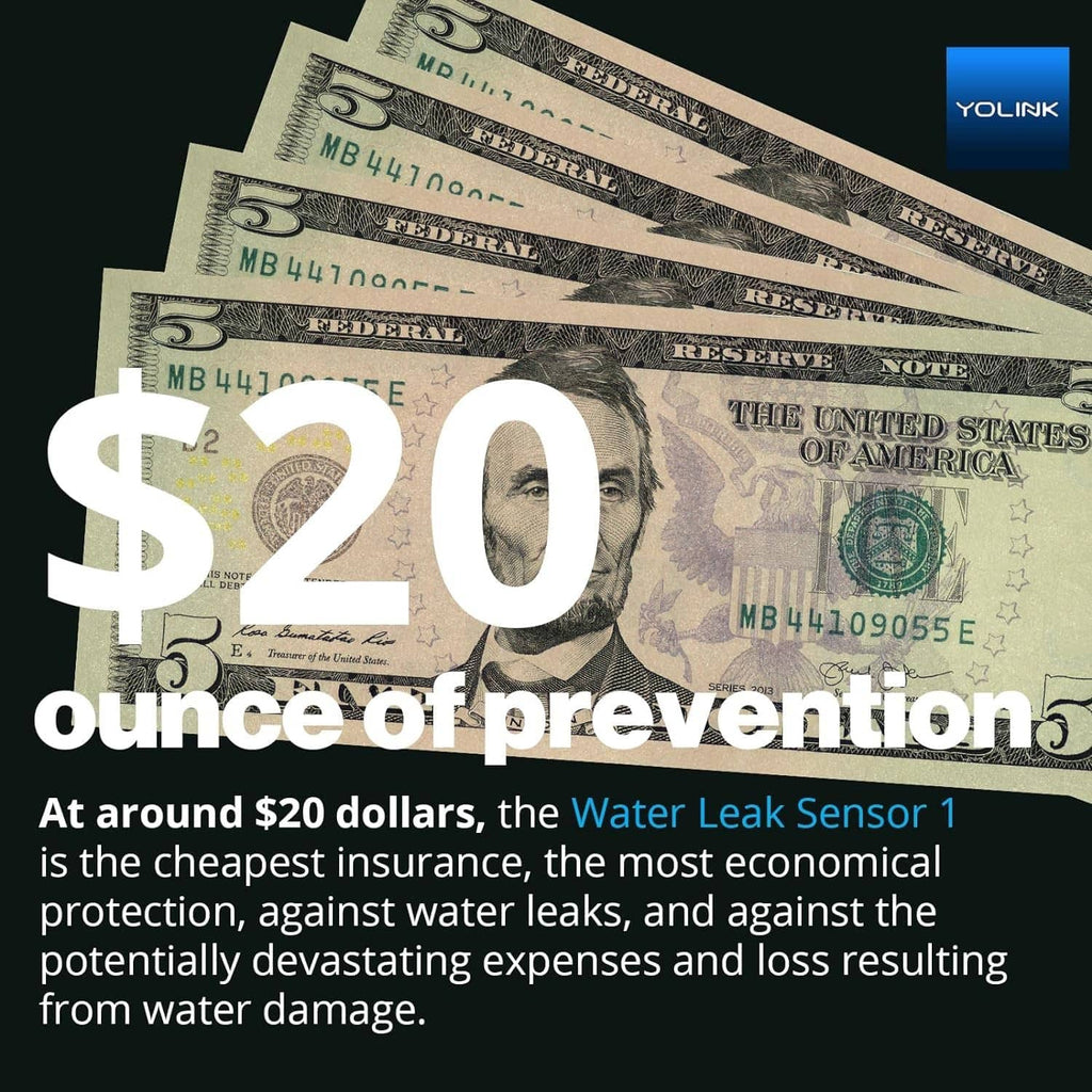 Water leak prevention cost illustration with large $20 text graphic