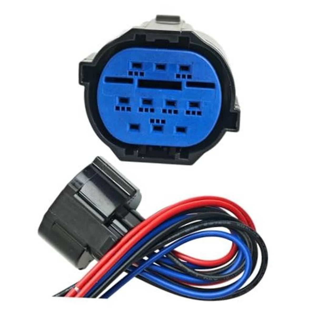Headlight main connector pigtail with blue multi-pin socket and red/blue/black wires