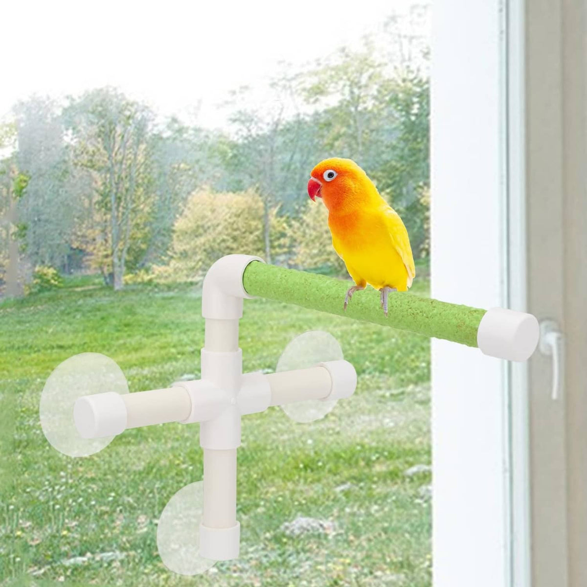 Bird standing on green suction cup perch bar on white window-mounted perch toy