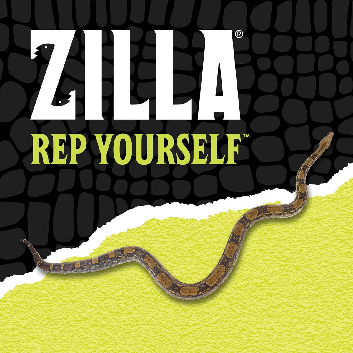 Zilla Rep Yourself promotional graphic with snake on a yellow area