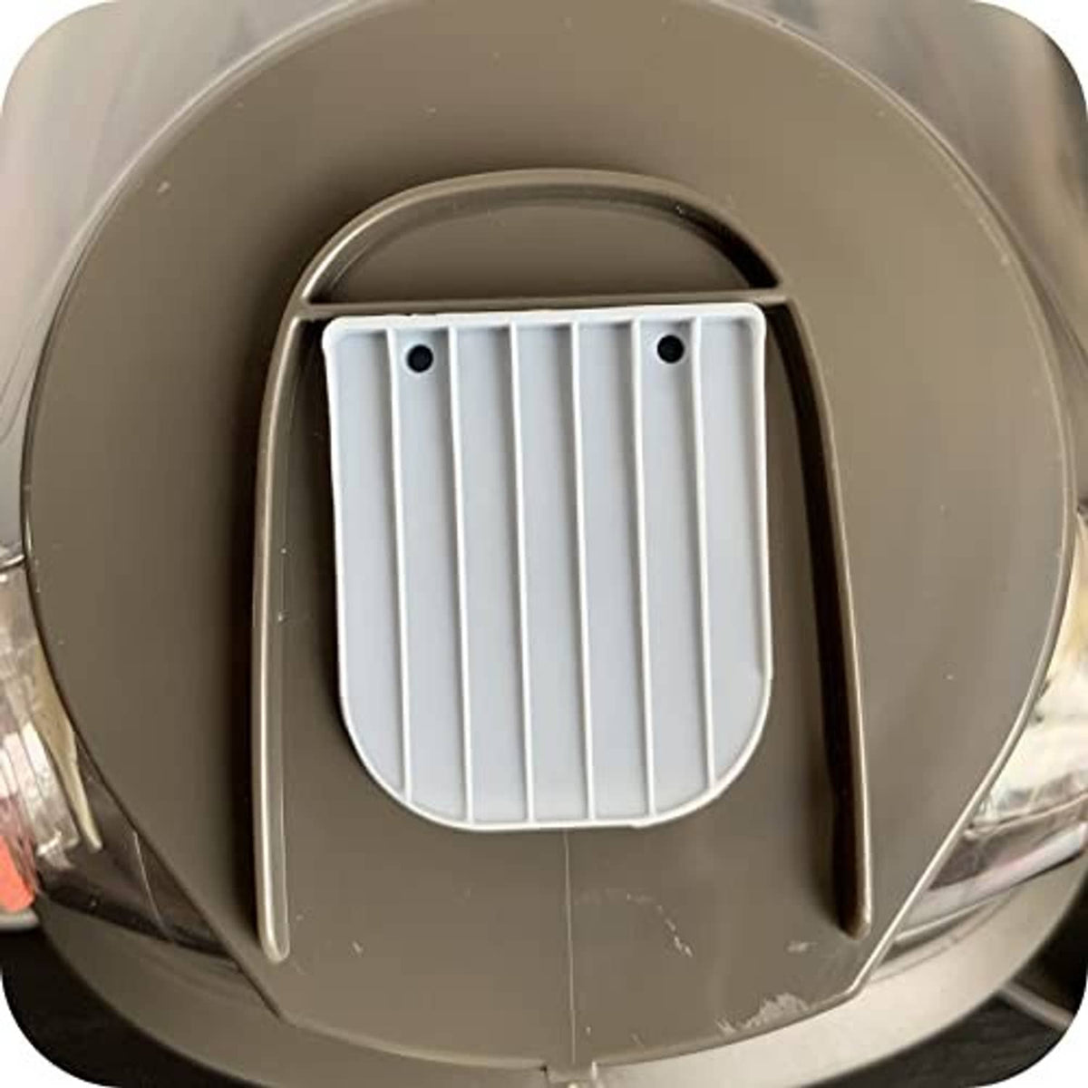 Gray faceplate with white slotted exhalation valve insert and two mounting posts