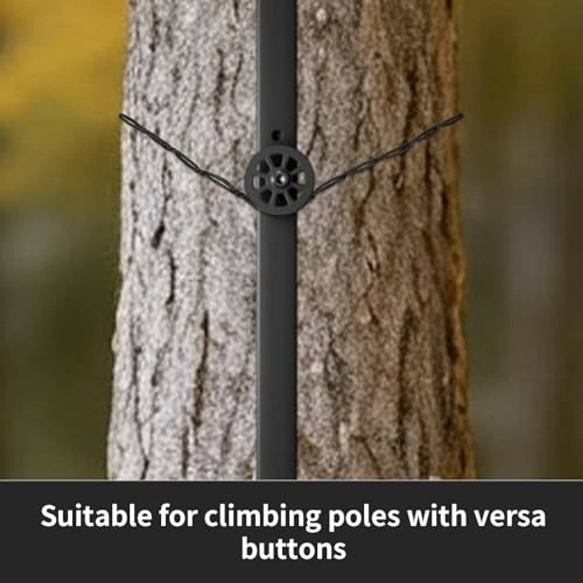 Beaded stabilizer rope tied around a black pole mount on a tree