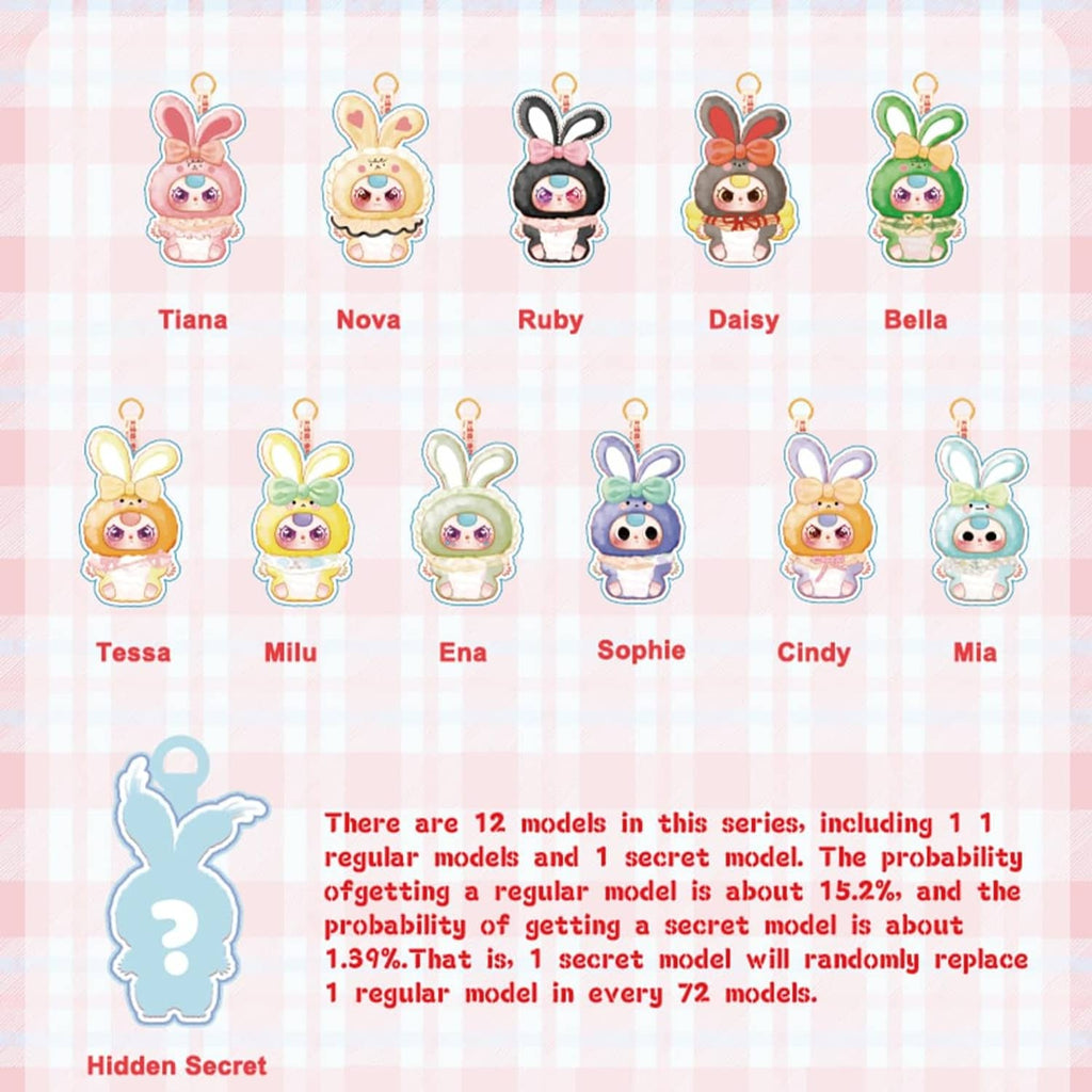 Rabbit plush blind box packaging showing hidden secret and model lineup