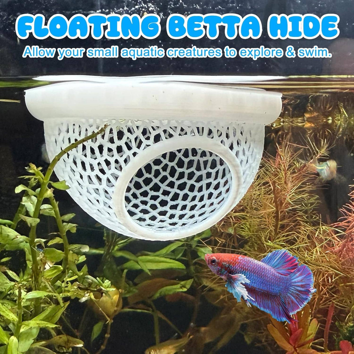 White floating mesh hammock hide for bettas, with circular entrance and fish inside