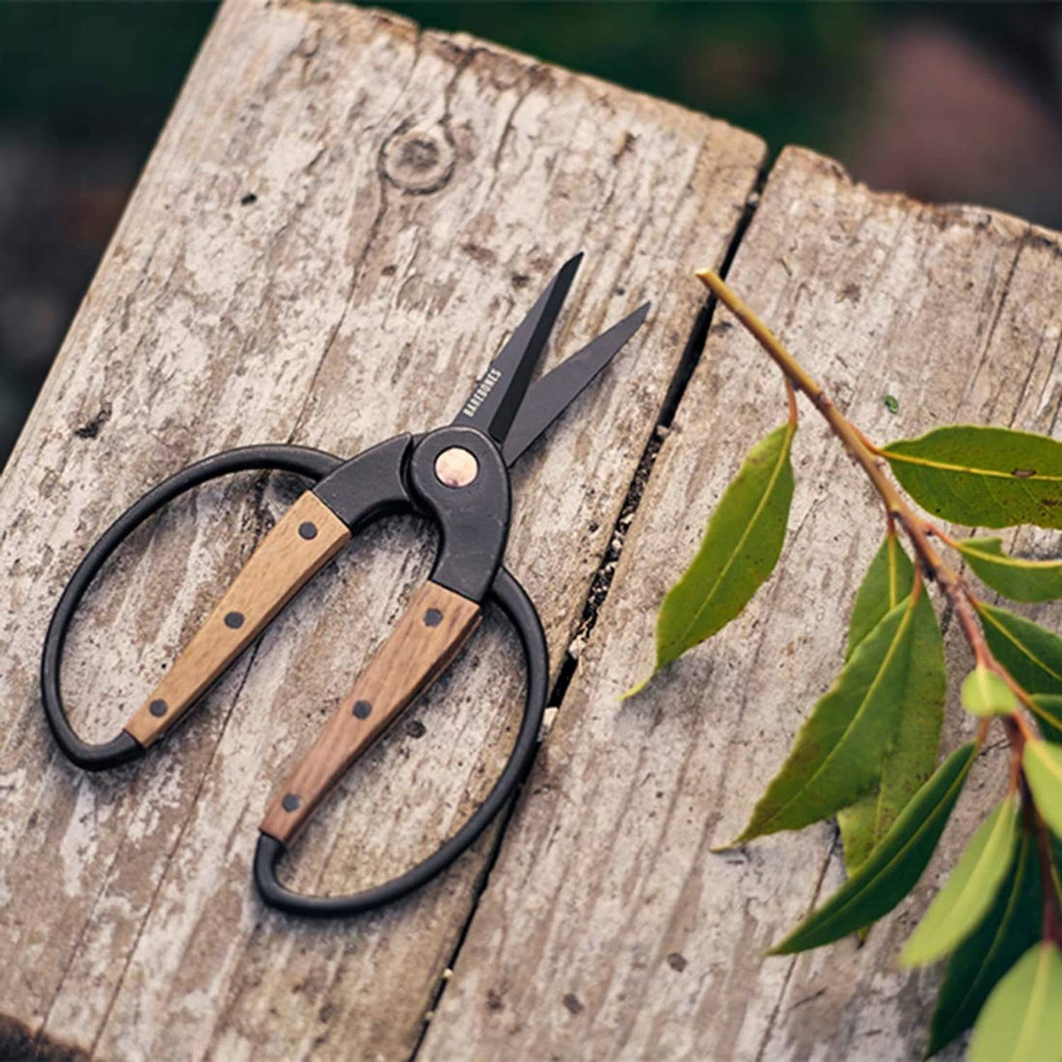 Garden shears on wood surface with black finger loops, wooden grips, and open blades.