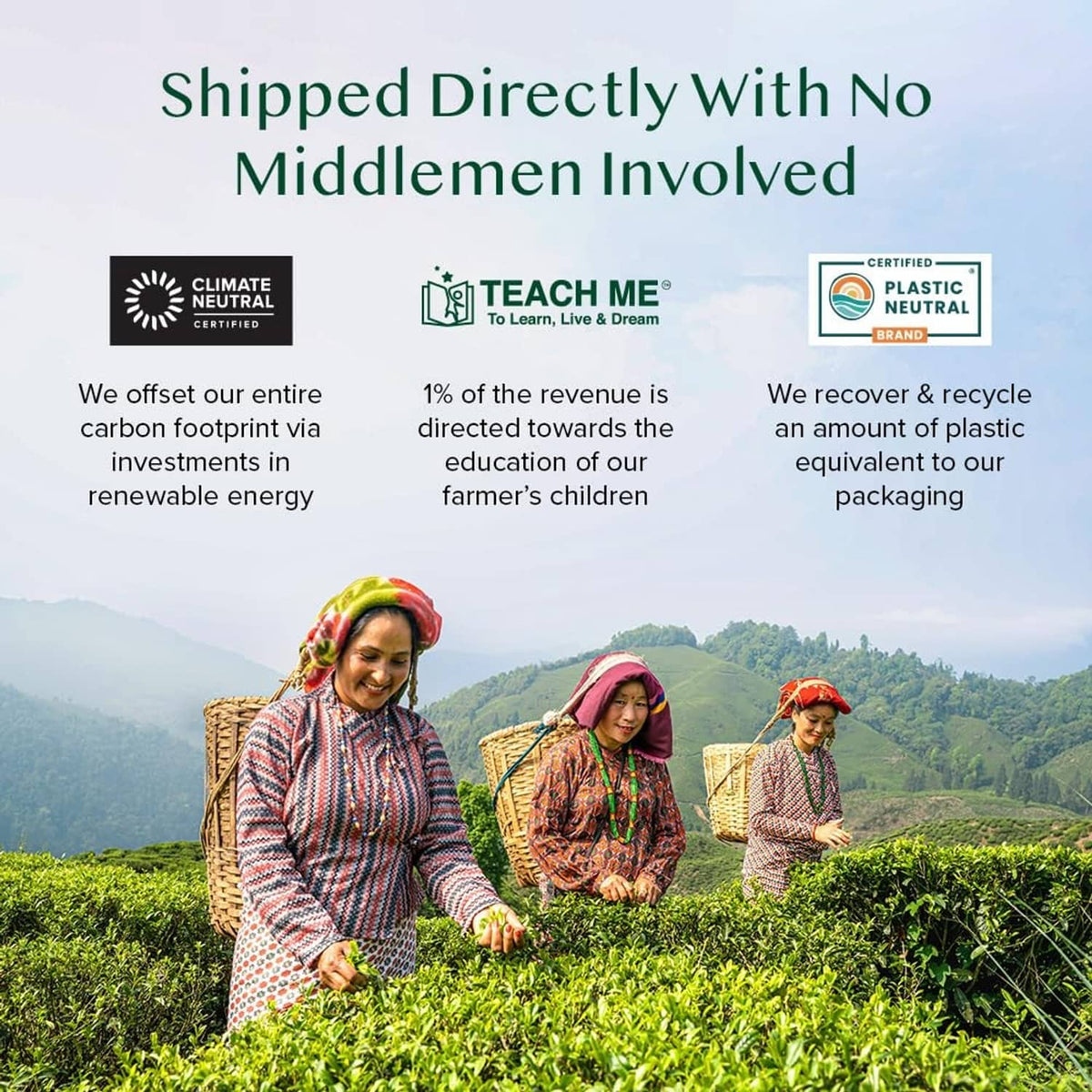 VAHDAM jasmine green tea shipped directly with farmers in green tea fields