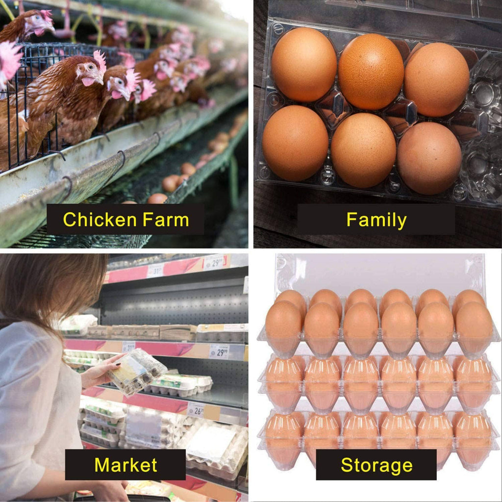 Clear plastic egg carton in storage view with rows of eggs