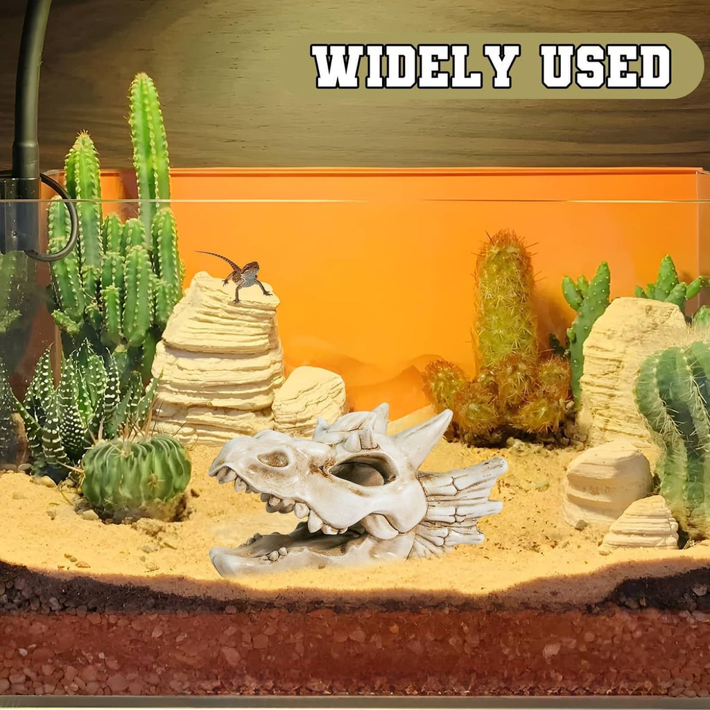 White dragon skull ornament on sandy substrate among cacti decor