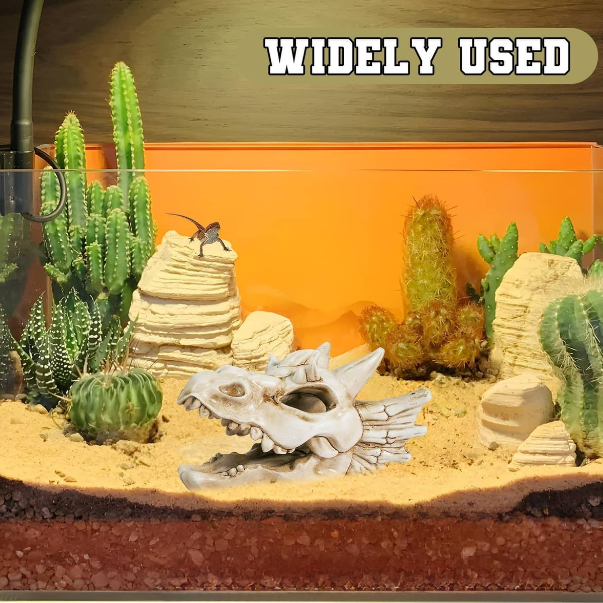 White dragon skull ornament on sandy substrate among cacti decor