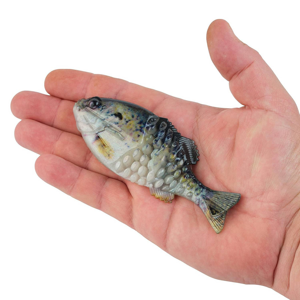 Fishing lure in hand, blue-silver body with white belly and speckled gills