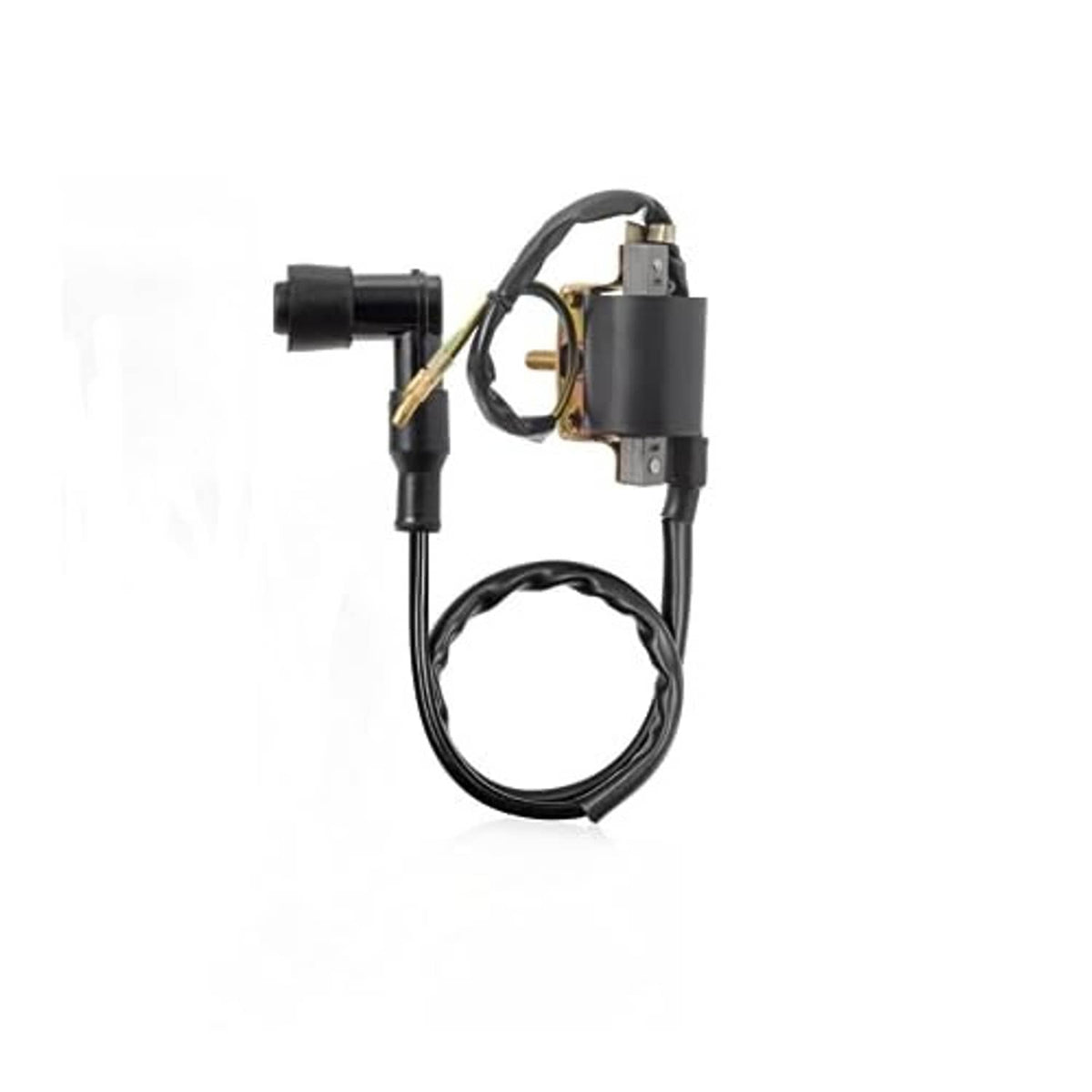Ignition coil CDI regulator unit with black cable and two mounting ports