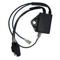 Black ignition CDI module with blue/black wiring harness and two electrical connectors