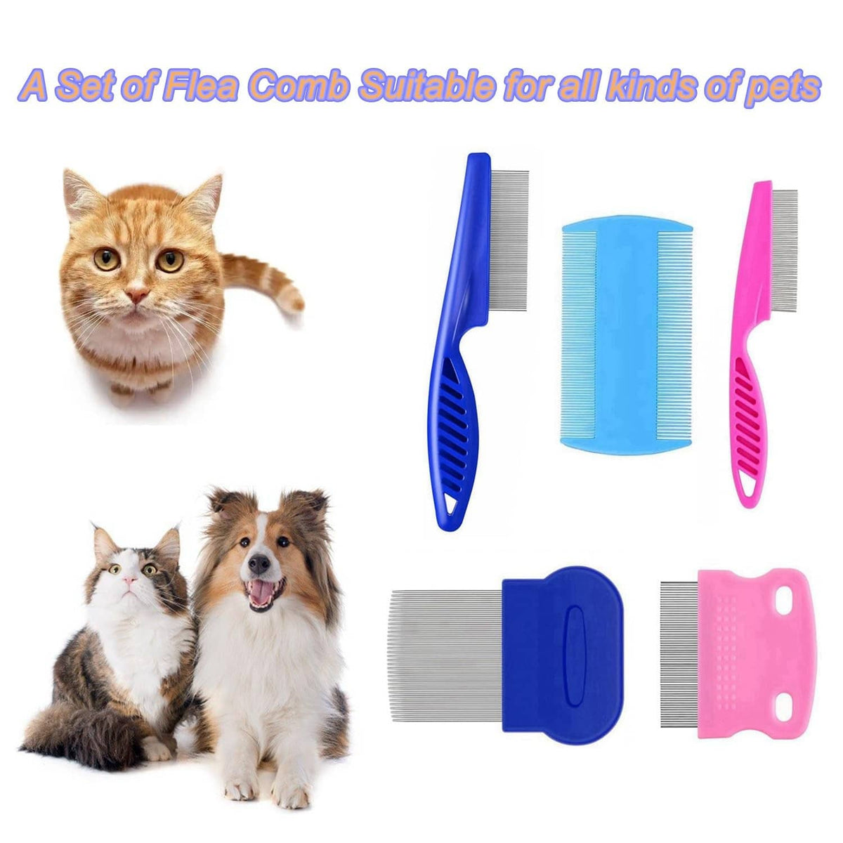Assorted flea comb set for pets, blue and pink handles with stainless-steel teeth