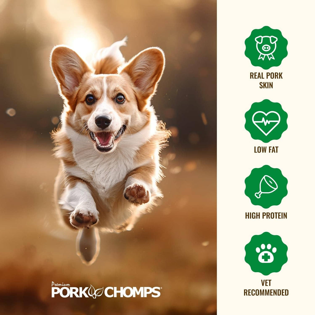 Roasted pork skin dog chews with dog running and product icons