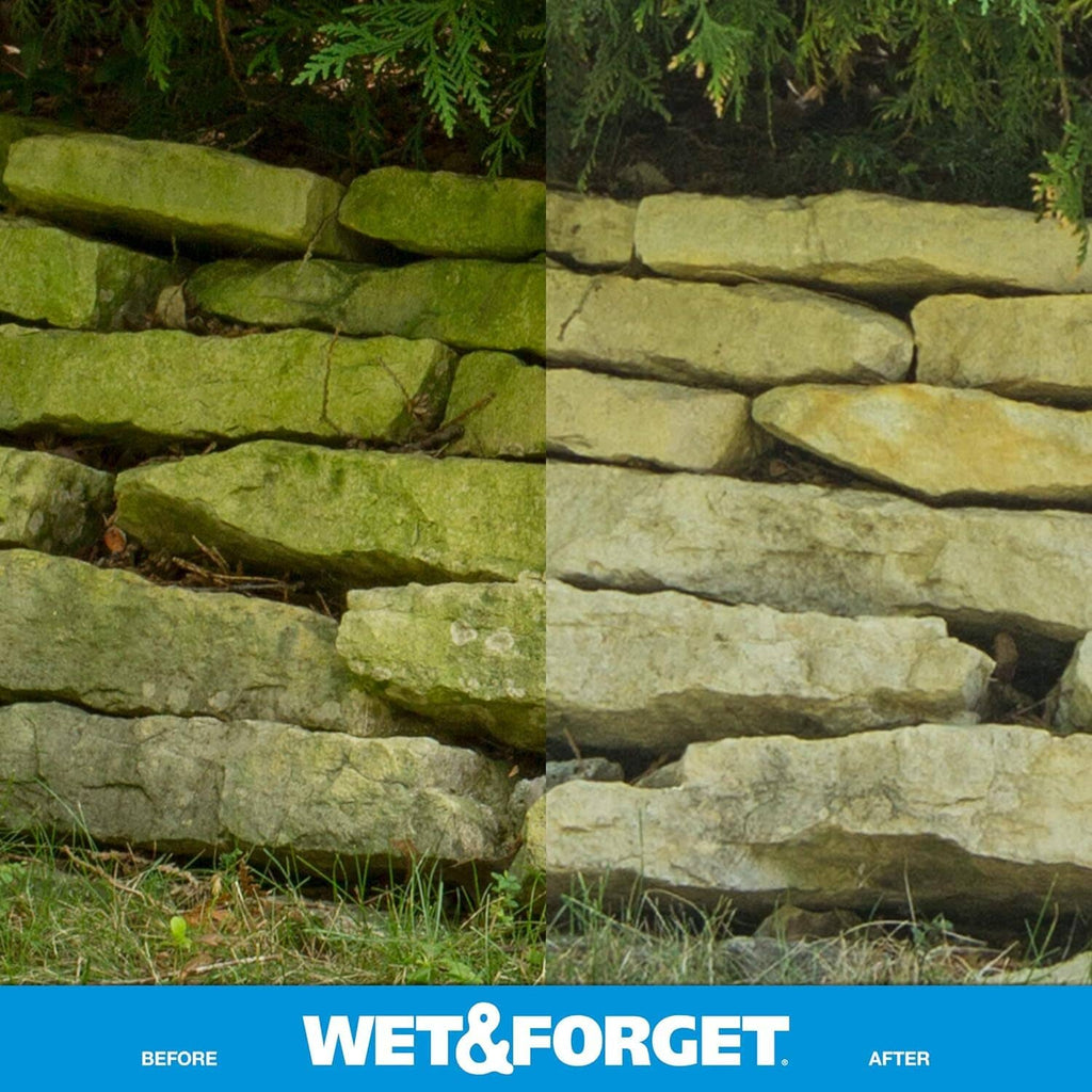 Outdoor retaining wall stones with green algae staining, mossy surface