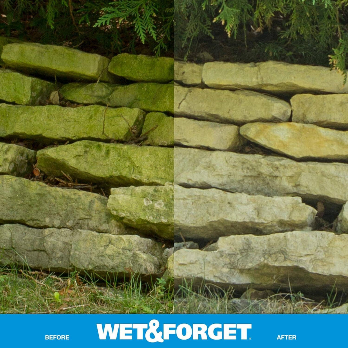 Outdoor retaining wall stones with green algae staining, mossy surface