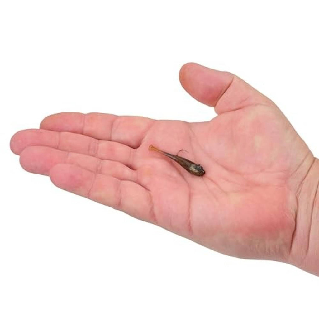 Soft plastic fishing bait on hook held in hand, dark green-brown with speckles