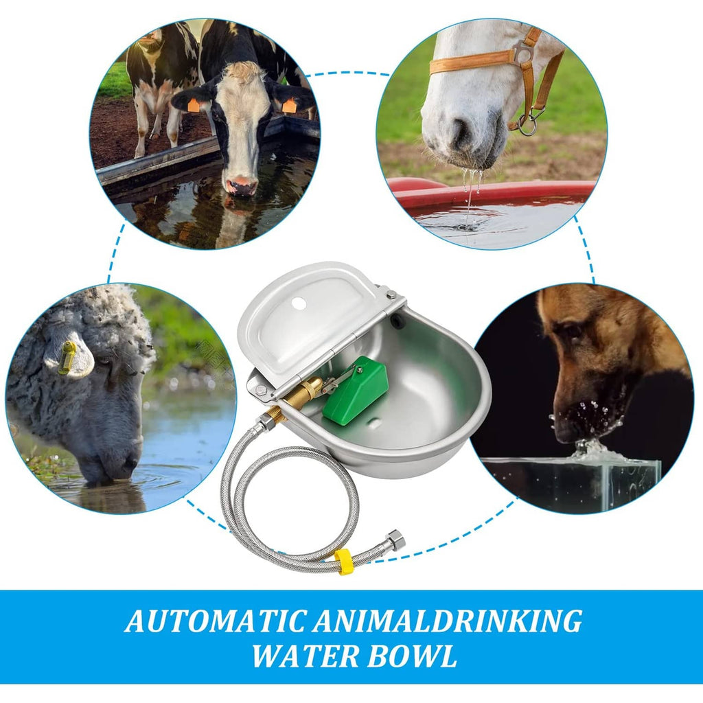 Automatic animal drinking water bowl with hoses and internal valve components