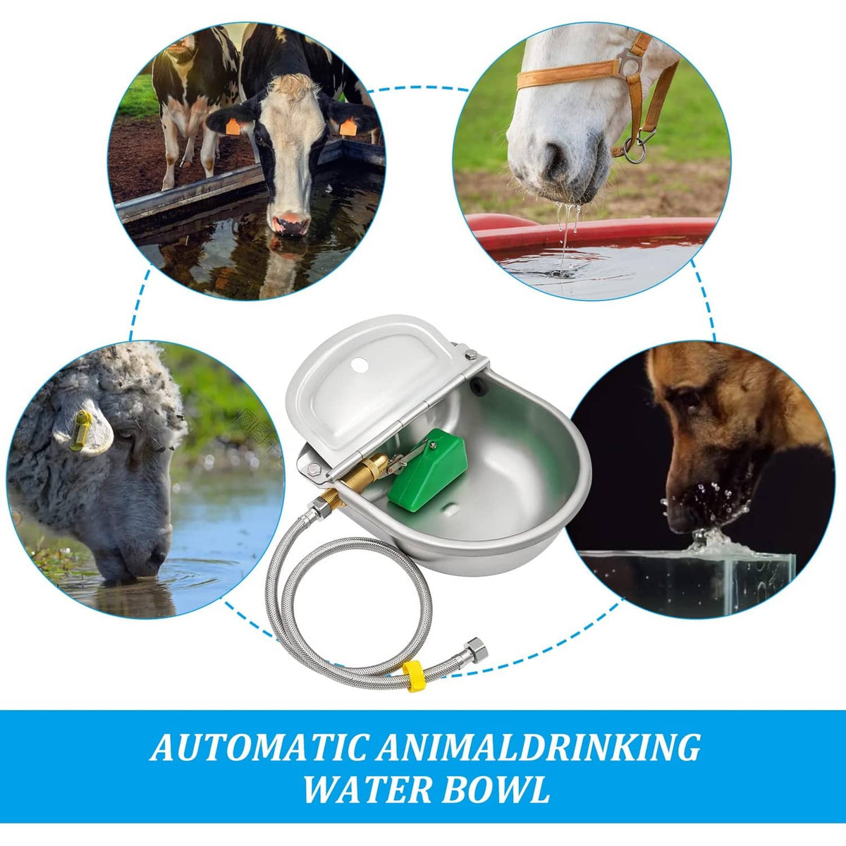 Automatic animal drinking water bowl with hoses and internal valve components