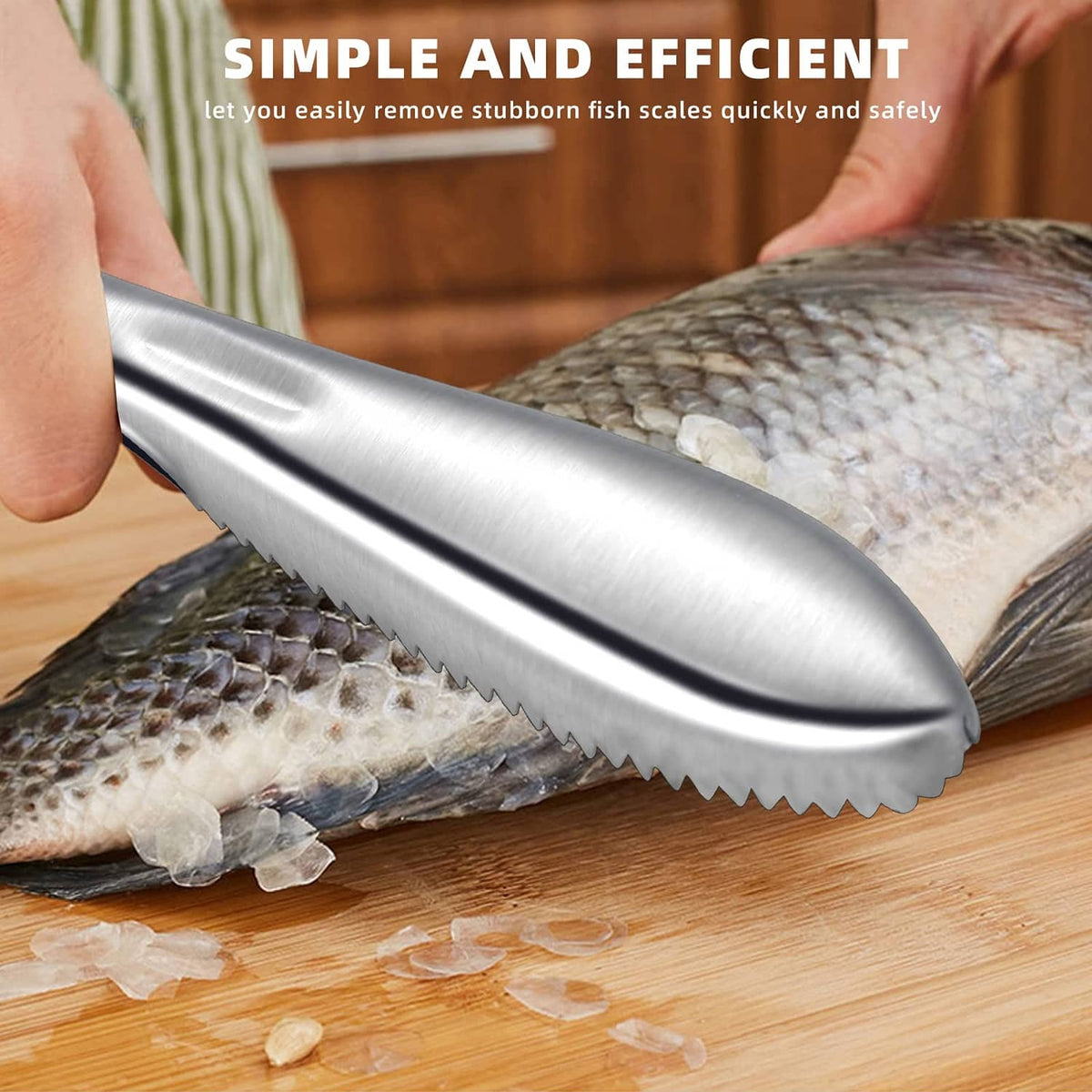 Stainless steel fish scaler tool with curved toothed edge for removing fish scales