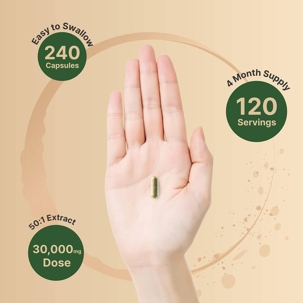 Olive leaf extract capsule in palm with 240 capsules, 120 servings, 50:1 dose callout