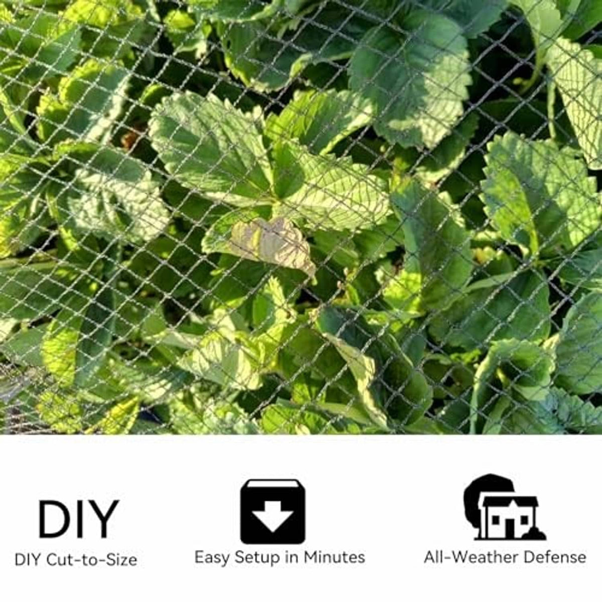 Green mesh netting draped over leafy plants in the garden