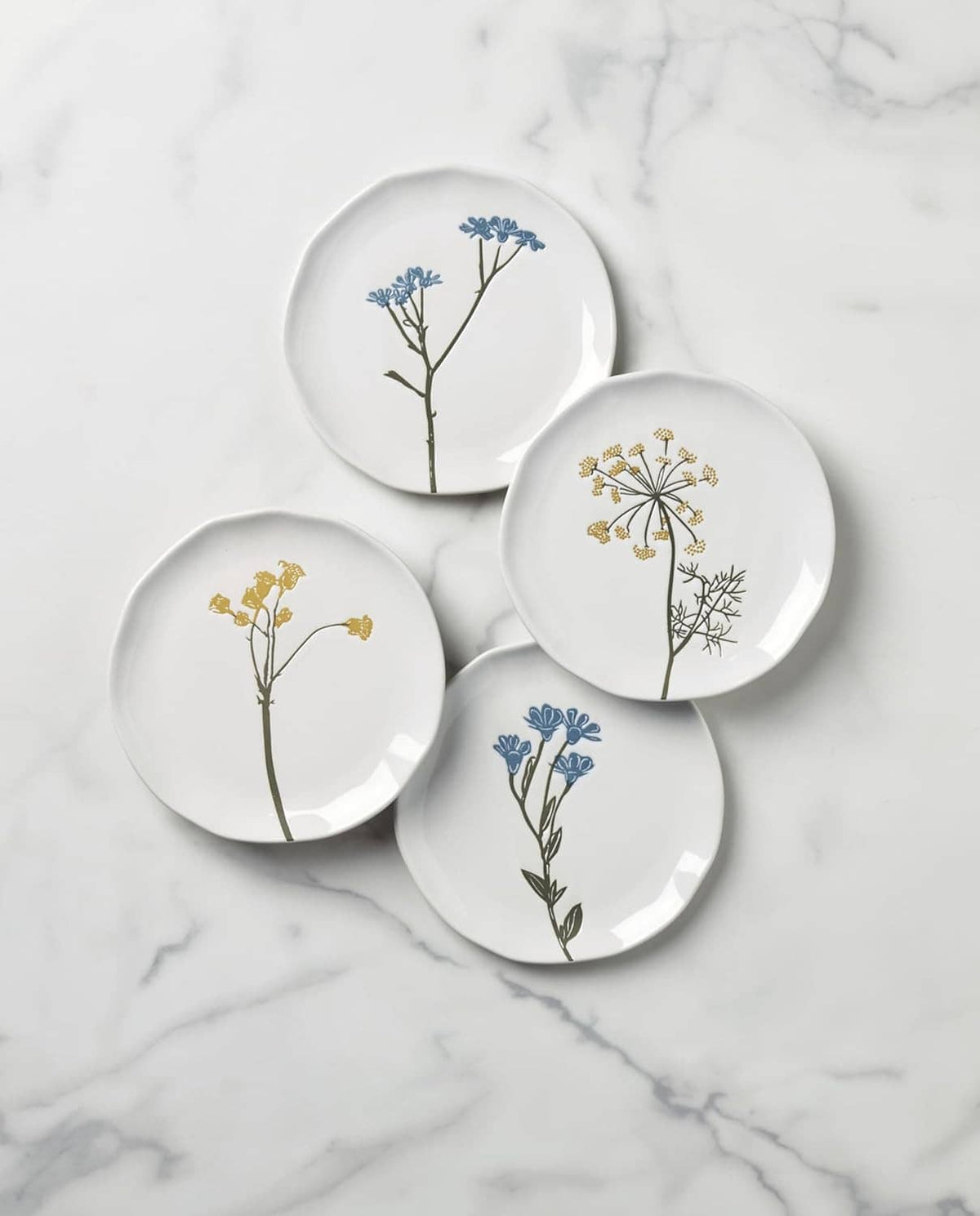 Four small wildflower plates with blue and gold botanical stems on white