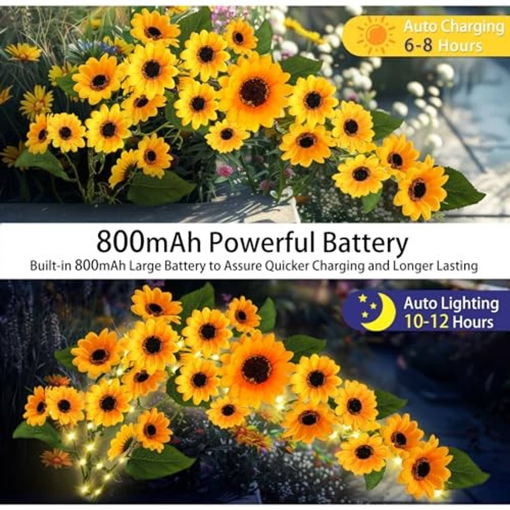 Solar sunflower garden lights with warm white LEDs glowing among yellow blooms