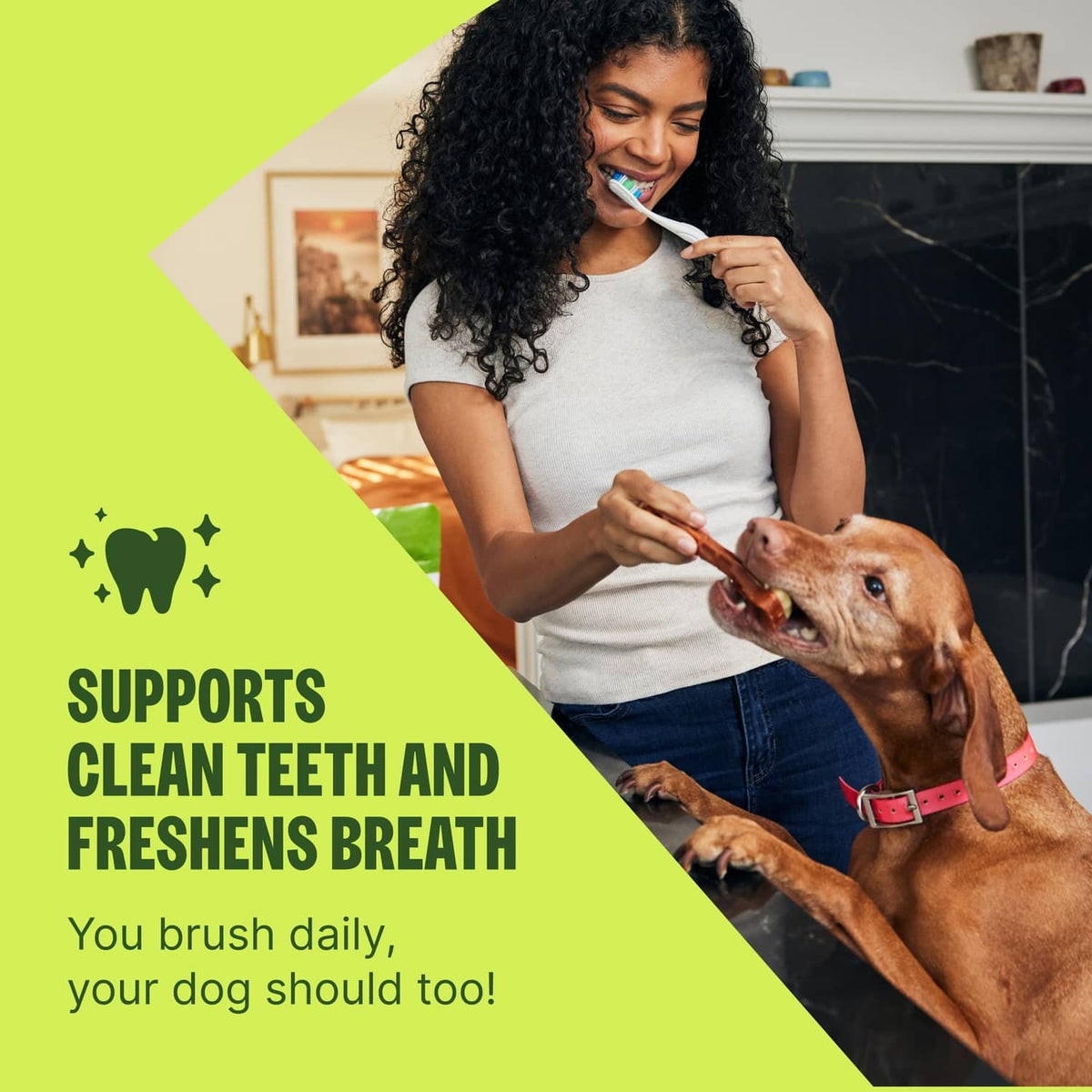 Person brushing dog teeth with a Whimzees dental chew while dogs sit nearby