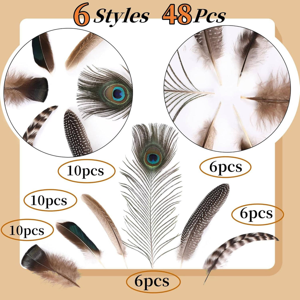 Feather assortment card showing mixed natural peacock, turkey, and striped feathers