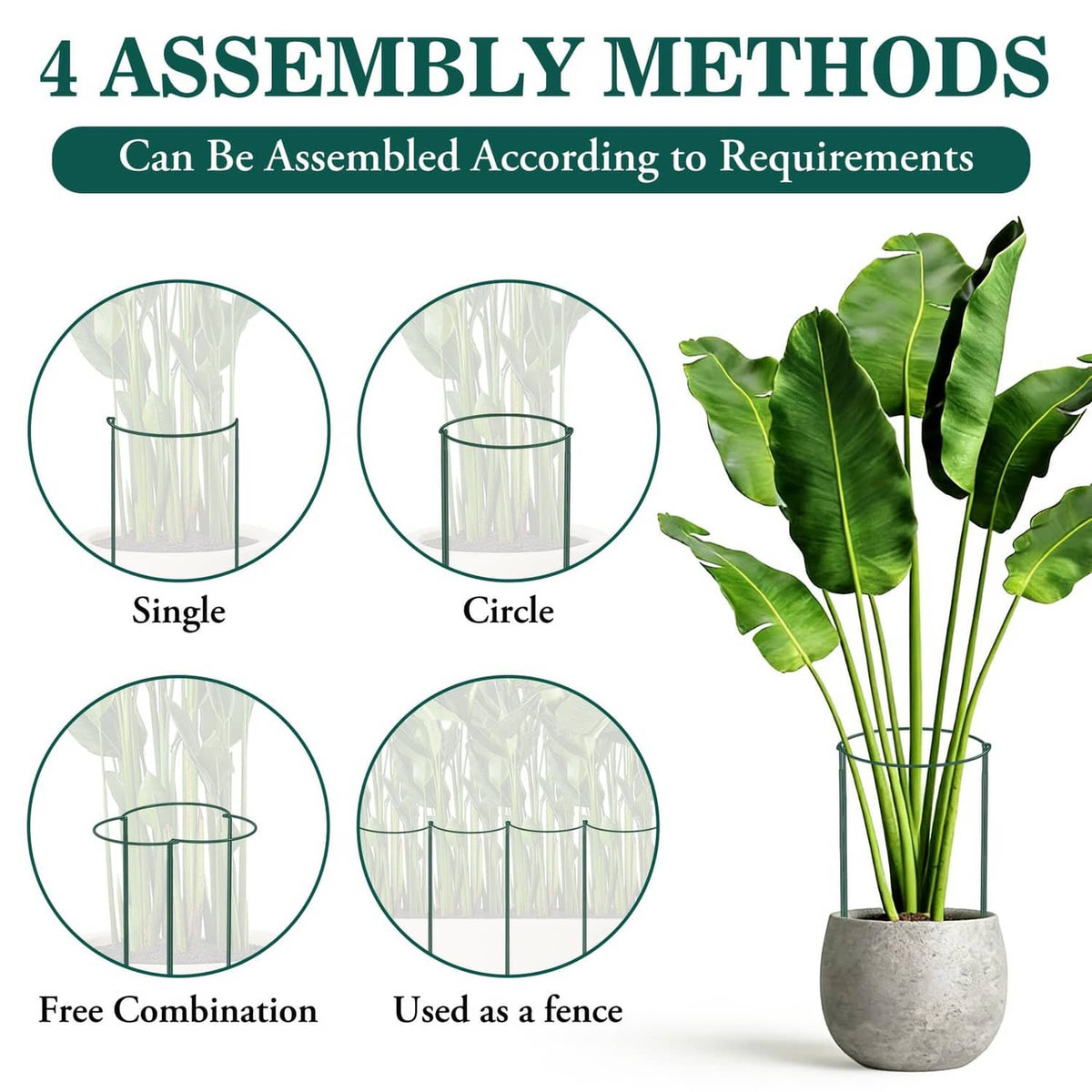 Green plant support stakes configured in single and circular shapes around a potted plant