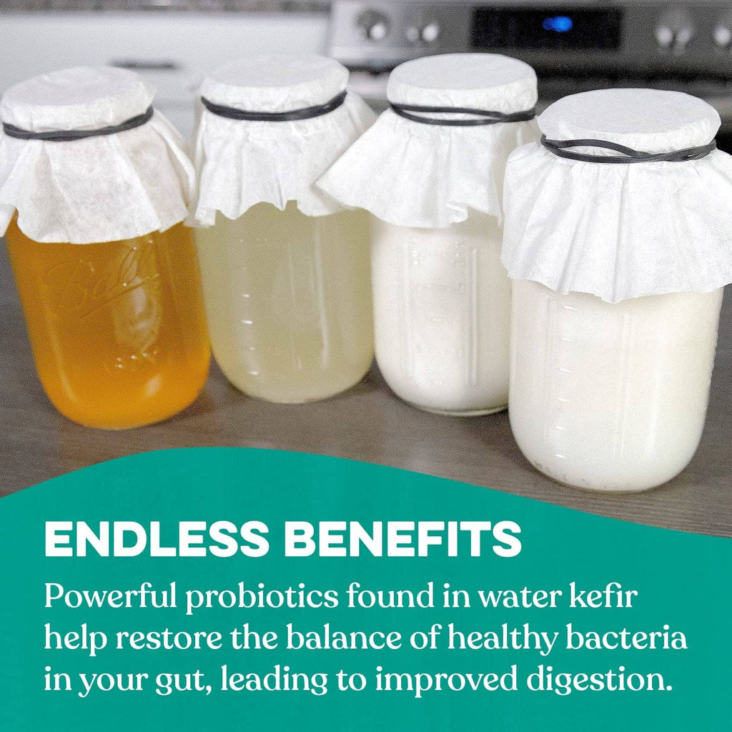 Assorted kefir bottles in glass jars with white, yellow, and amber layers