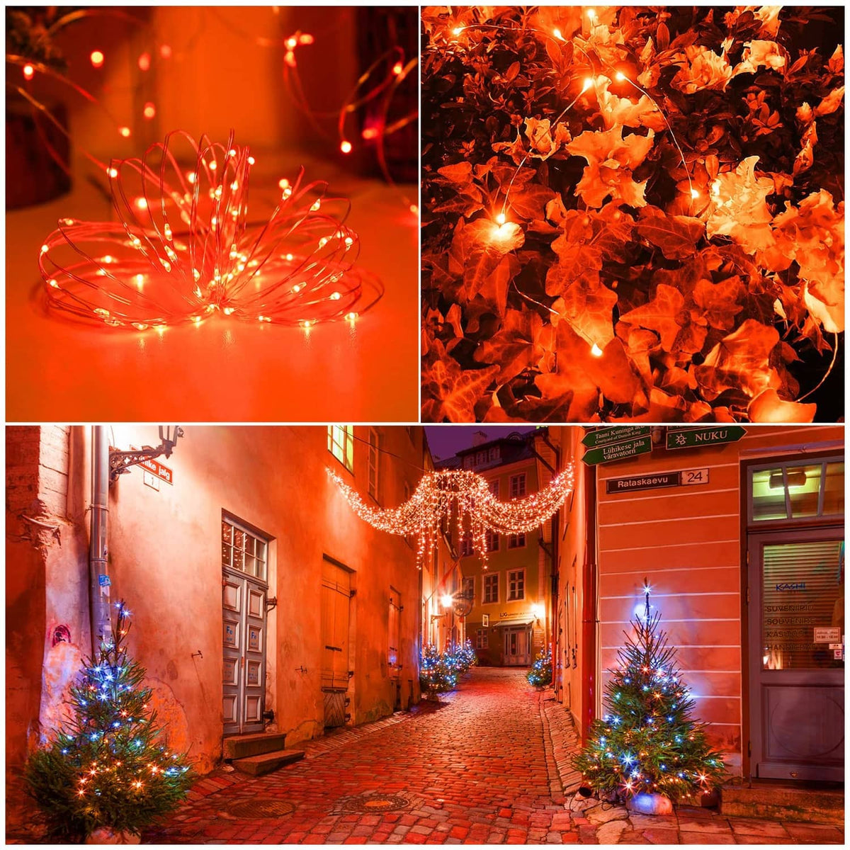 Warm white solar string lights across autumn leaves and outdoor walkway trees