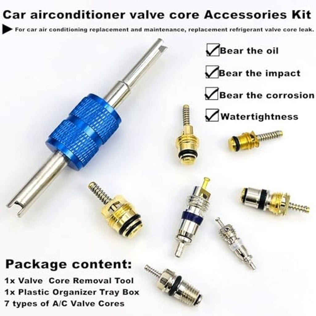 Car A/C valve core accessories kit with metal tool and replacement cores