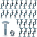 Silver carriage bolts and lock nuts kit, multiple fasteners arranged.