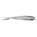 Gray minnow-style fishing bait lure, lifelike profile, 4 inch