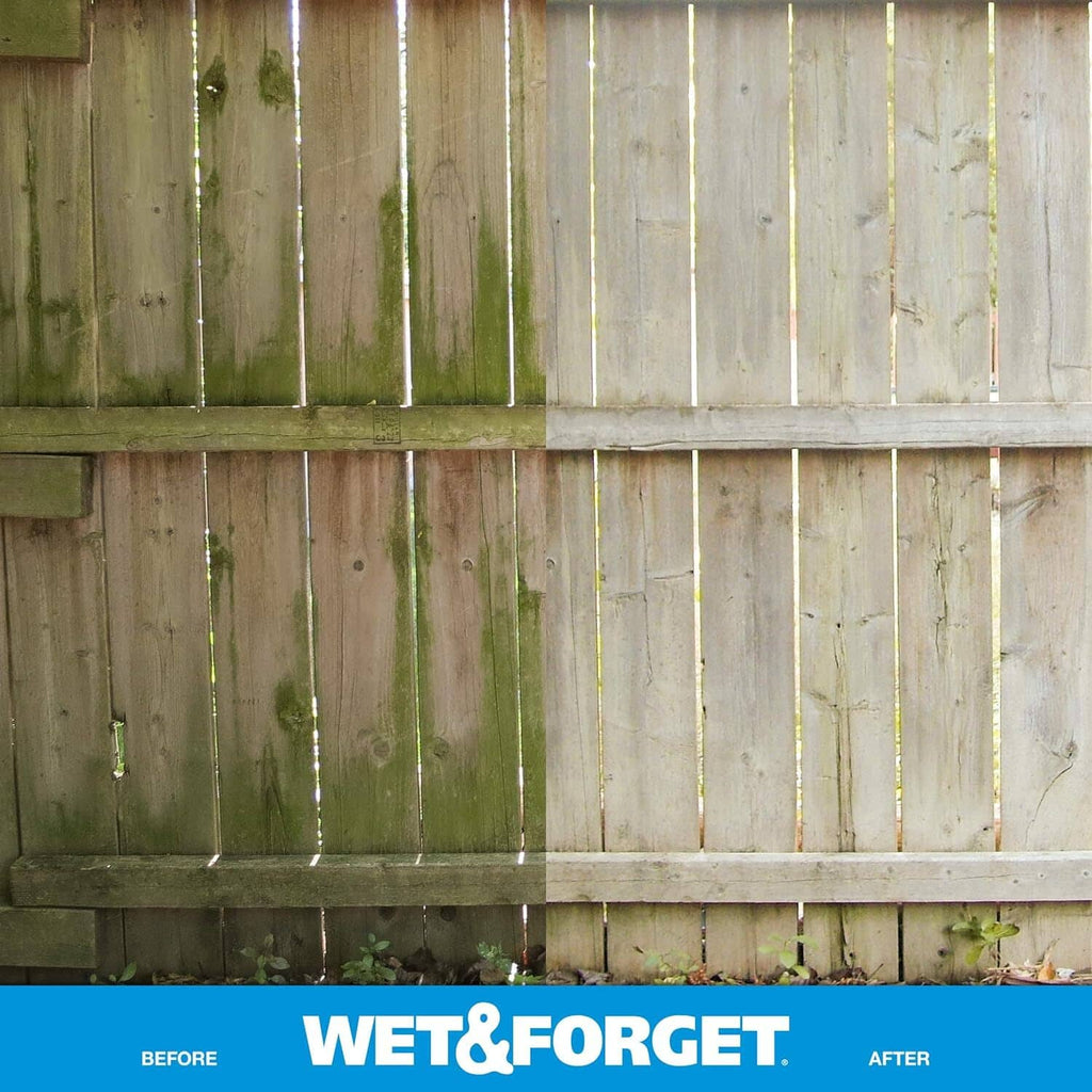 Wood fence panels with green moss-like buildup and a cleaned area