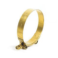 Gold stainless T-bolt hose clamp with wide band and paired screw bolts at side.