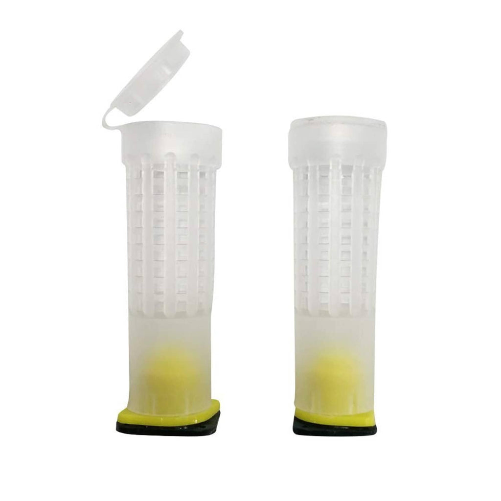 Two clear queen bee rearing cups with yellow base, front view