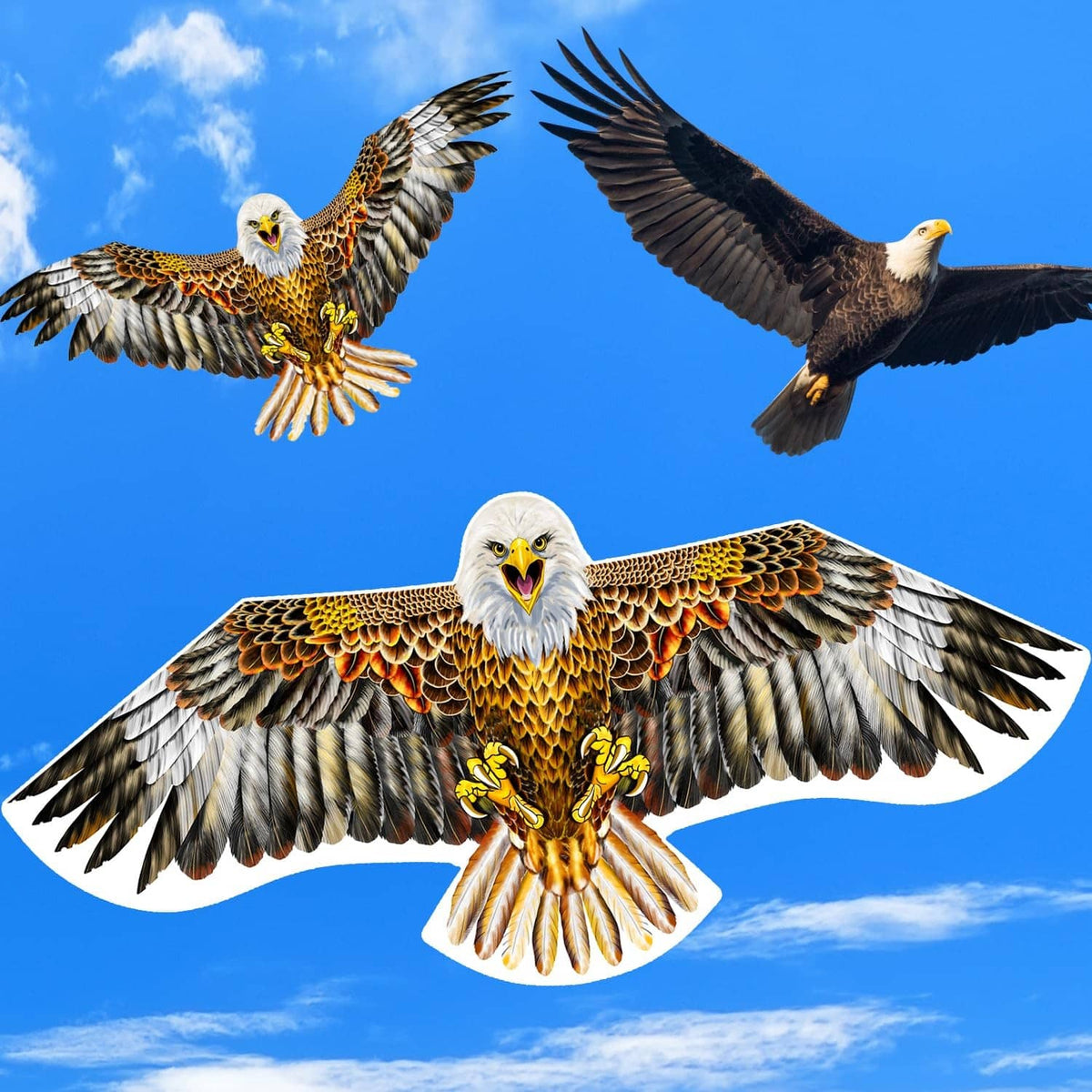 Multi-angle view of eagle kite set, brown feather wings with white heads and orange chest