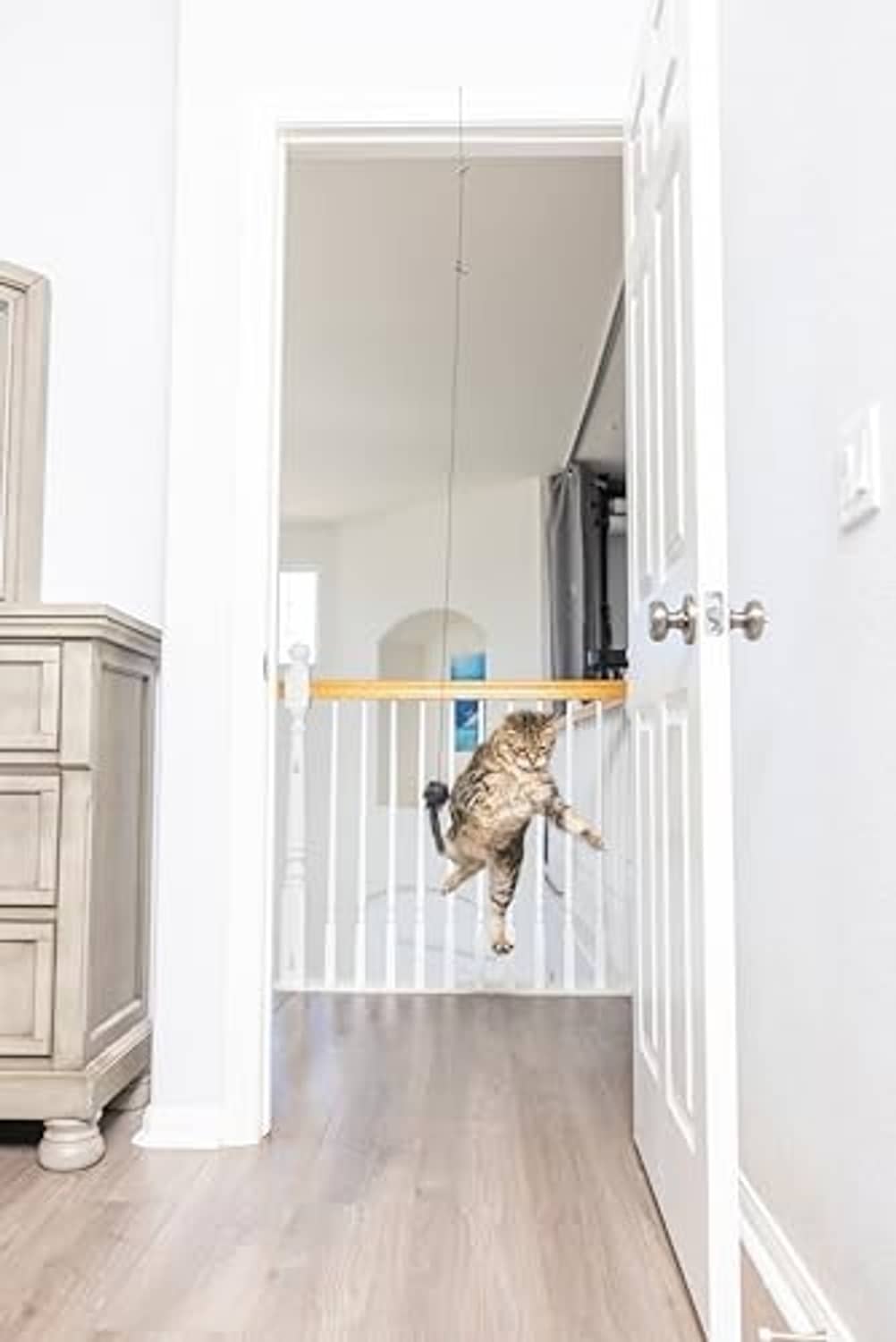 Tabby cat reaching for a hanging orange plush mouse toy on a doorway rail