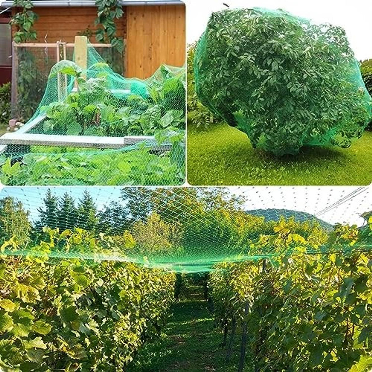 Green bird netting draped over garden plants in raised beds and on ground