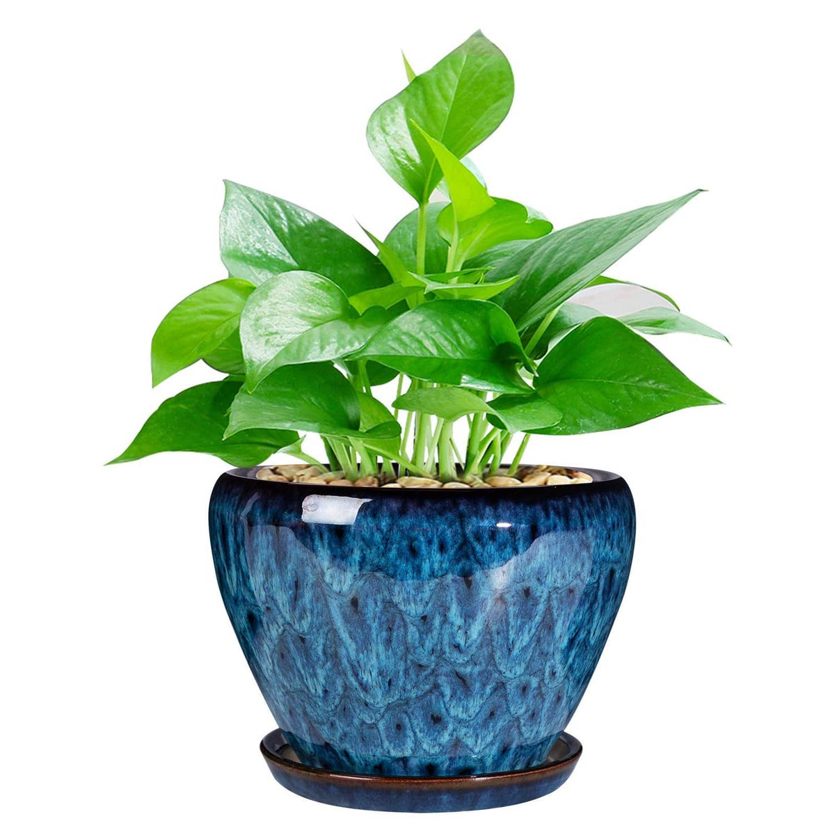 Blue ceramic modern glaze succulent planter pot with drainage hole and saucer